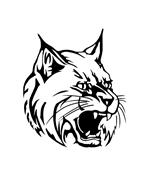 Wildcat 